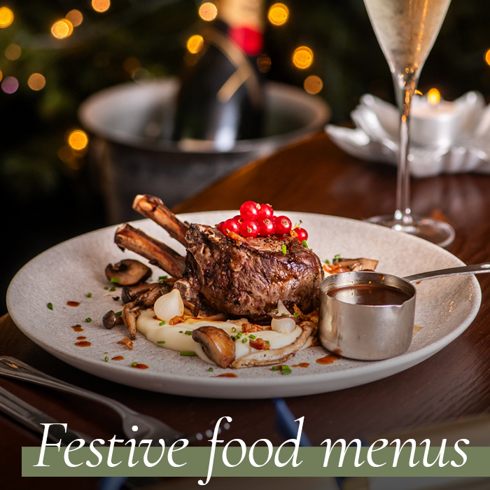 View our Christmas & Festive Menus. Christmas at Crown & Greyhound in London
