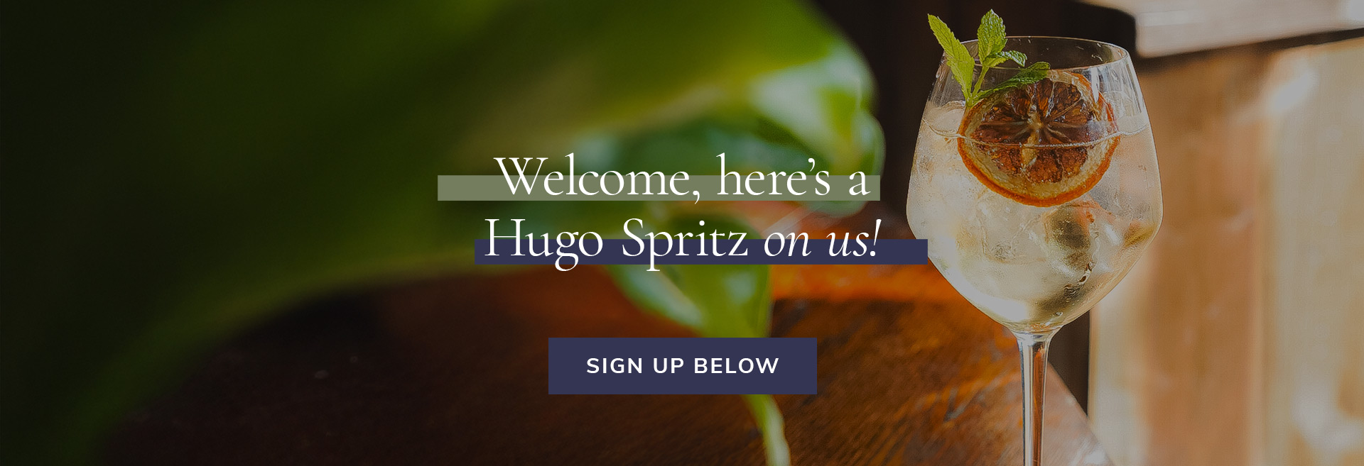 Sign up to the newsletter at Crown & Greyhound